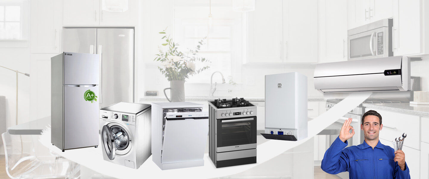 Başmakçı Smeg Servisi